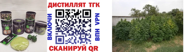 Еда ТГК марихуана  Кашин 