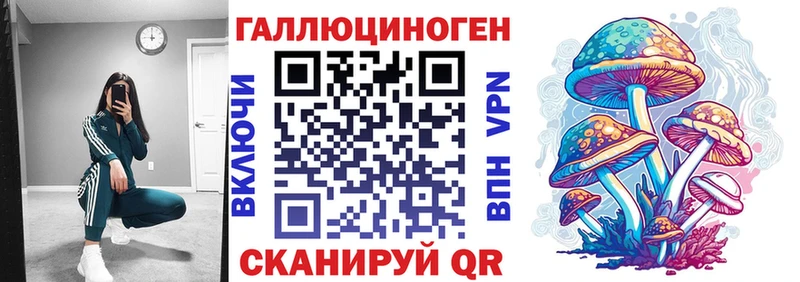 Псилоцибиновые грибы Cubensis  Кашин 